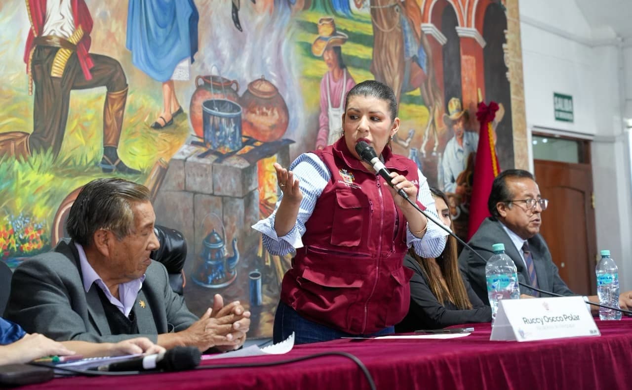 Alcaldesa de Arequipa solicita licencia para postular en ERM