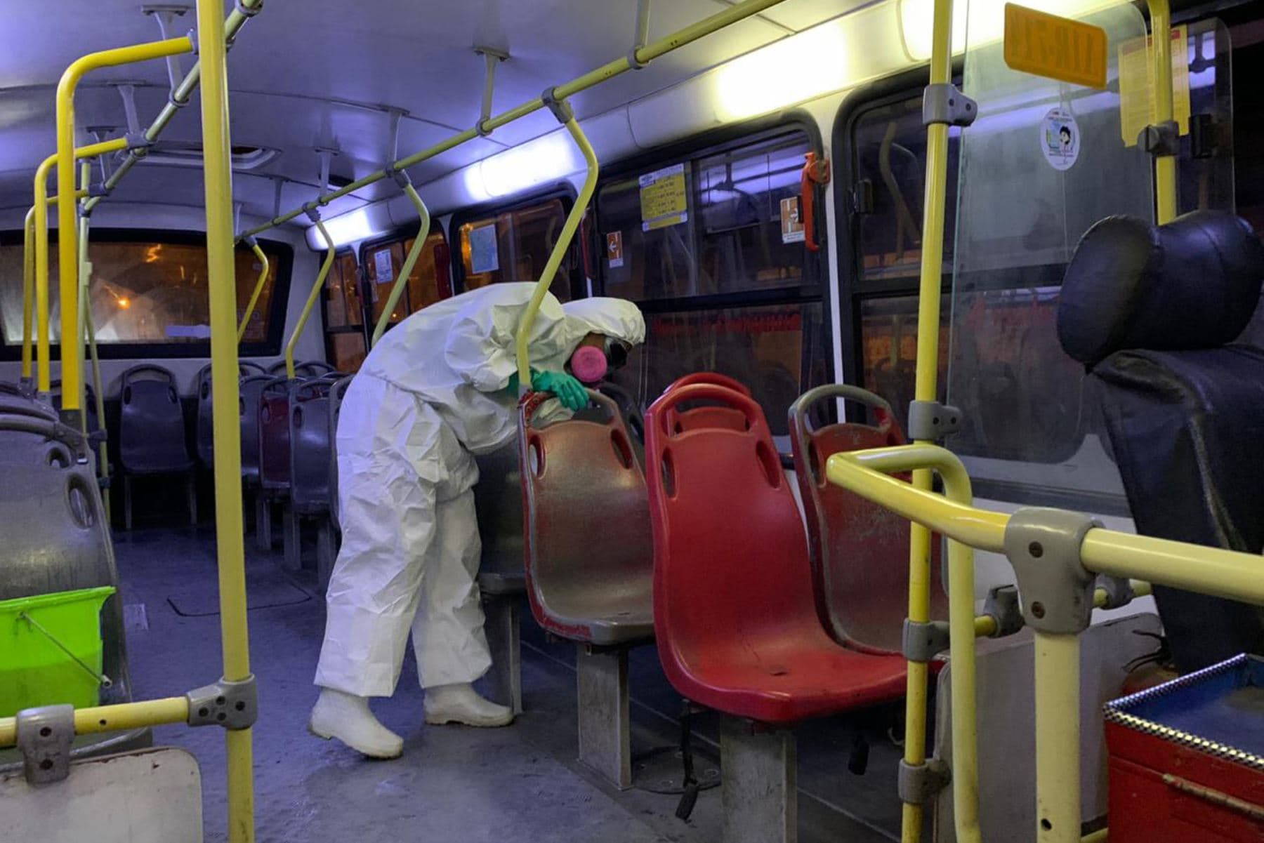 Suspenden fumigación de carros