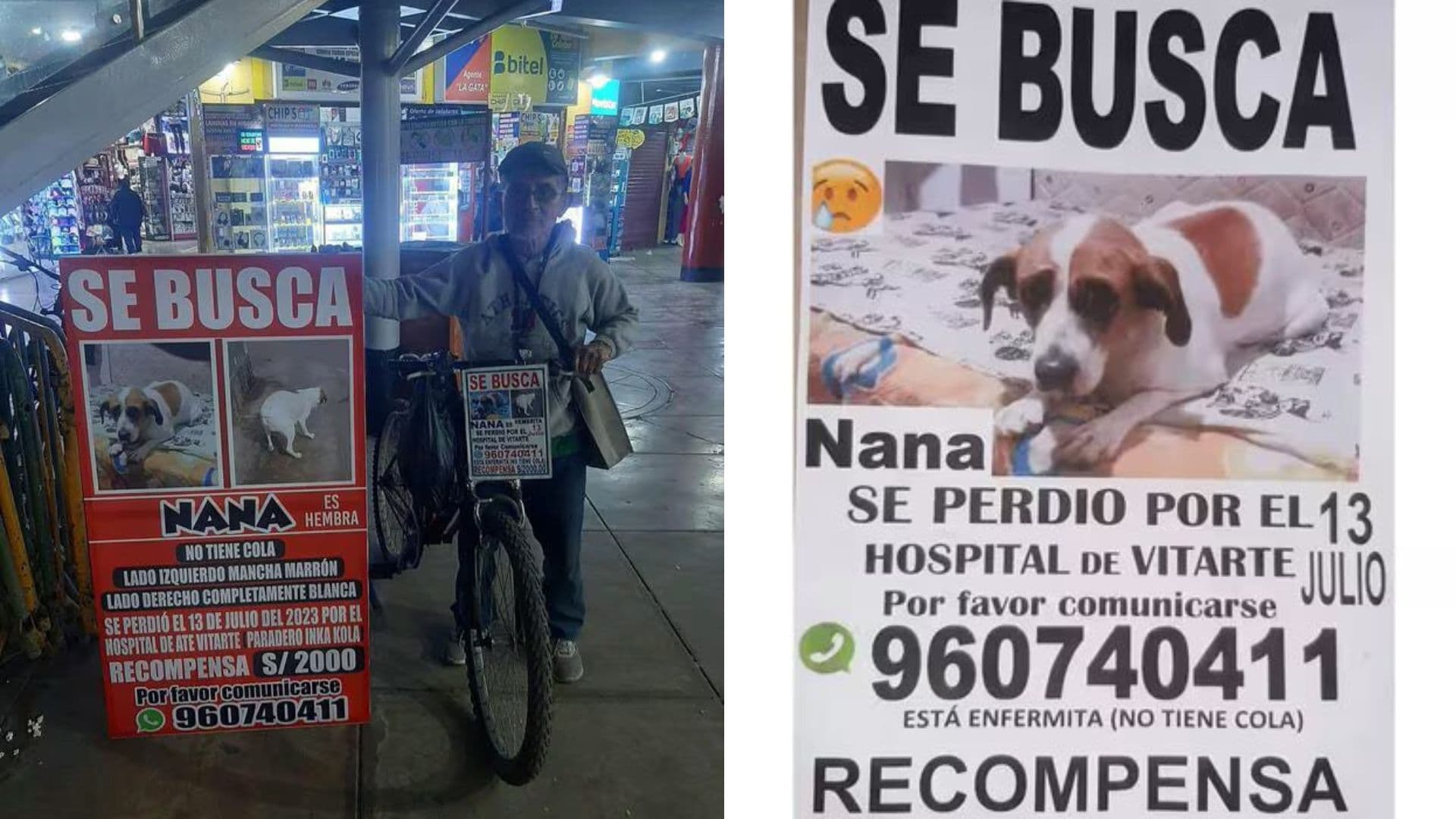 Adulto mayor busca a su perrita desde hace un año