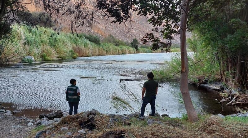 Laguna de Mamacocha será declarada ecosistema frágil