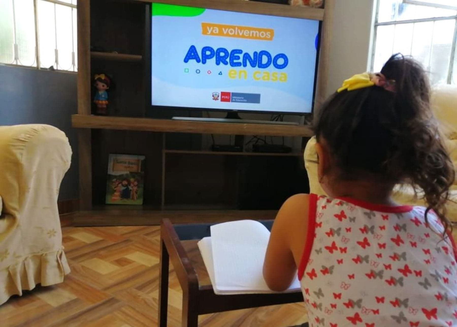 Minedu apuesta por "Aprendo en Casa" para el 2021