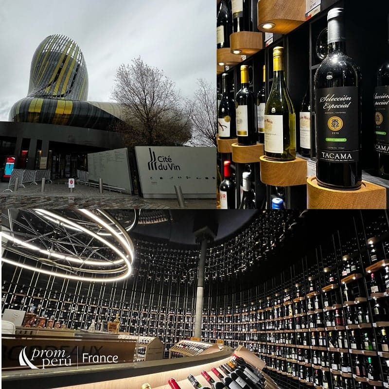 Vinos peruanos se lucen en la "Cité du Vin" en Burdeos