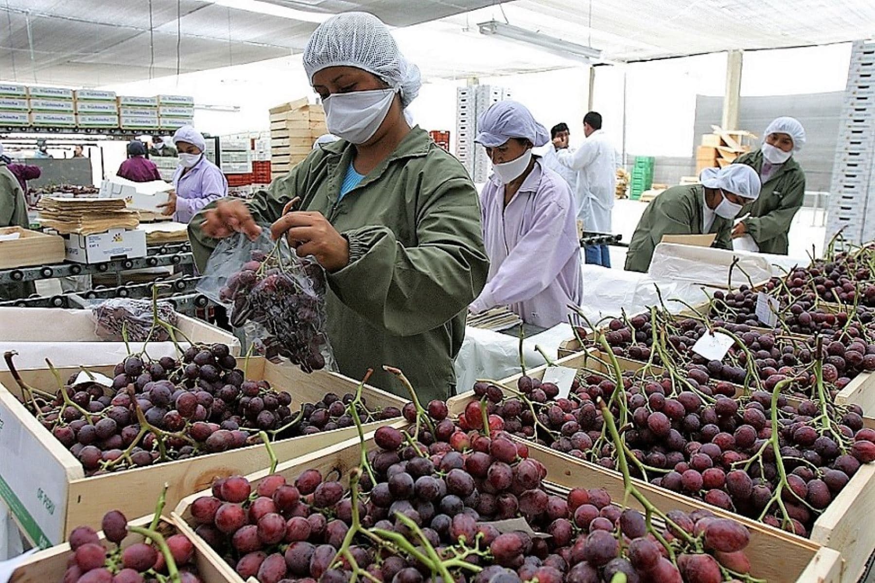 Gremios empresariales piden asegurar estabilidad y salud