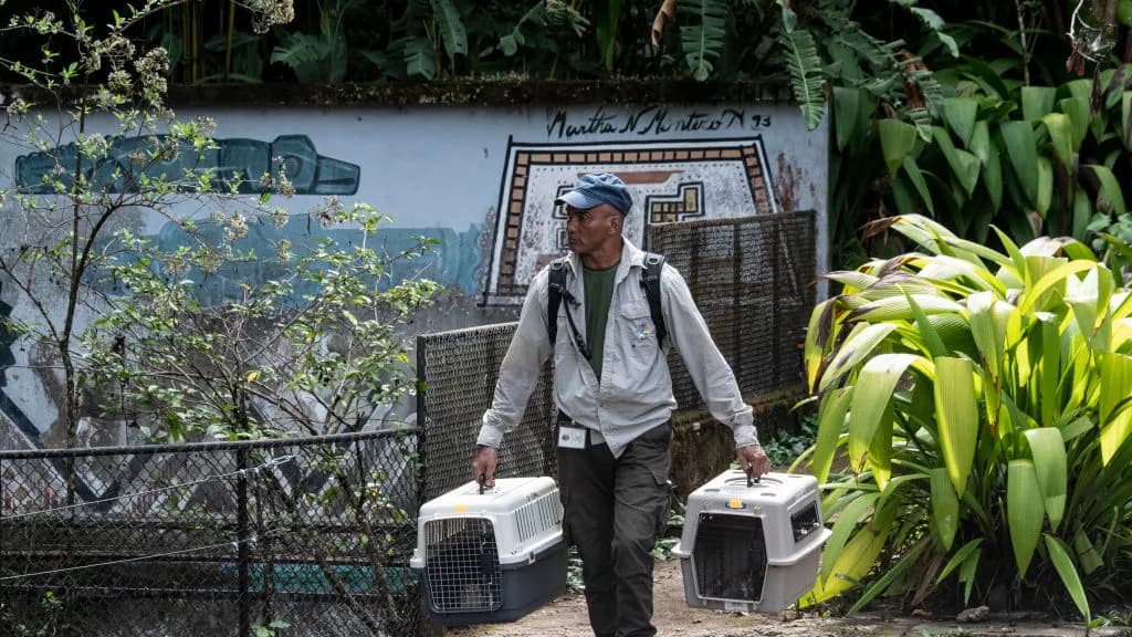 Costa Rica ordena el cierre de todos los zoológicos públicos