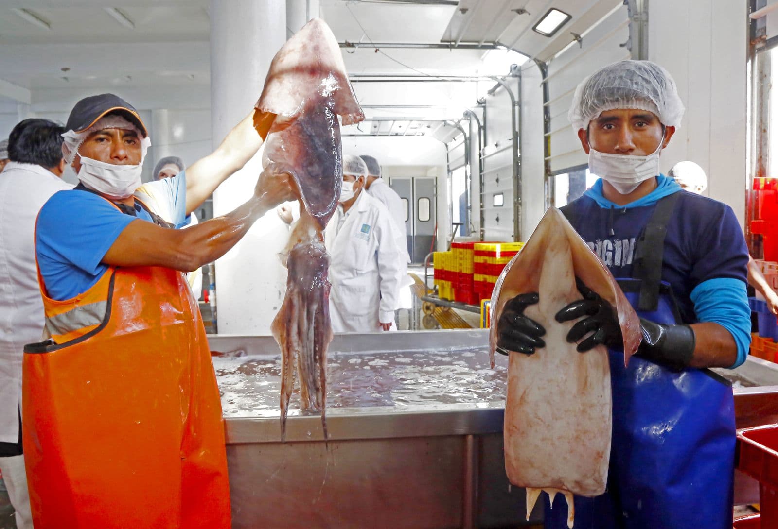 Exportaciones no tradicionales pesqueras crecieron un 123.5 %
