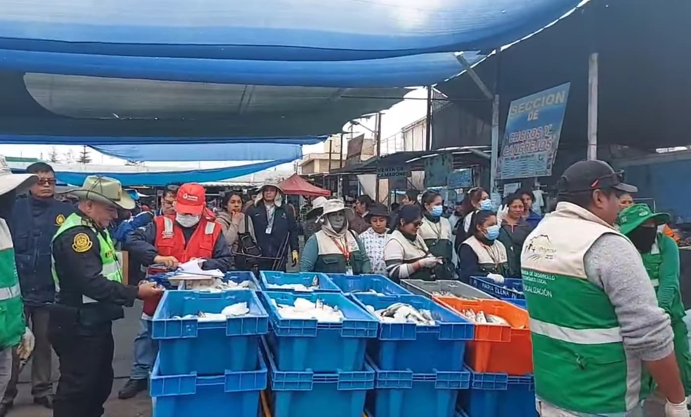 Darán pescado jurel decomisado a ollas comunes de Cerro Colorado