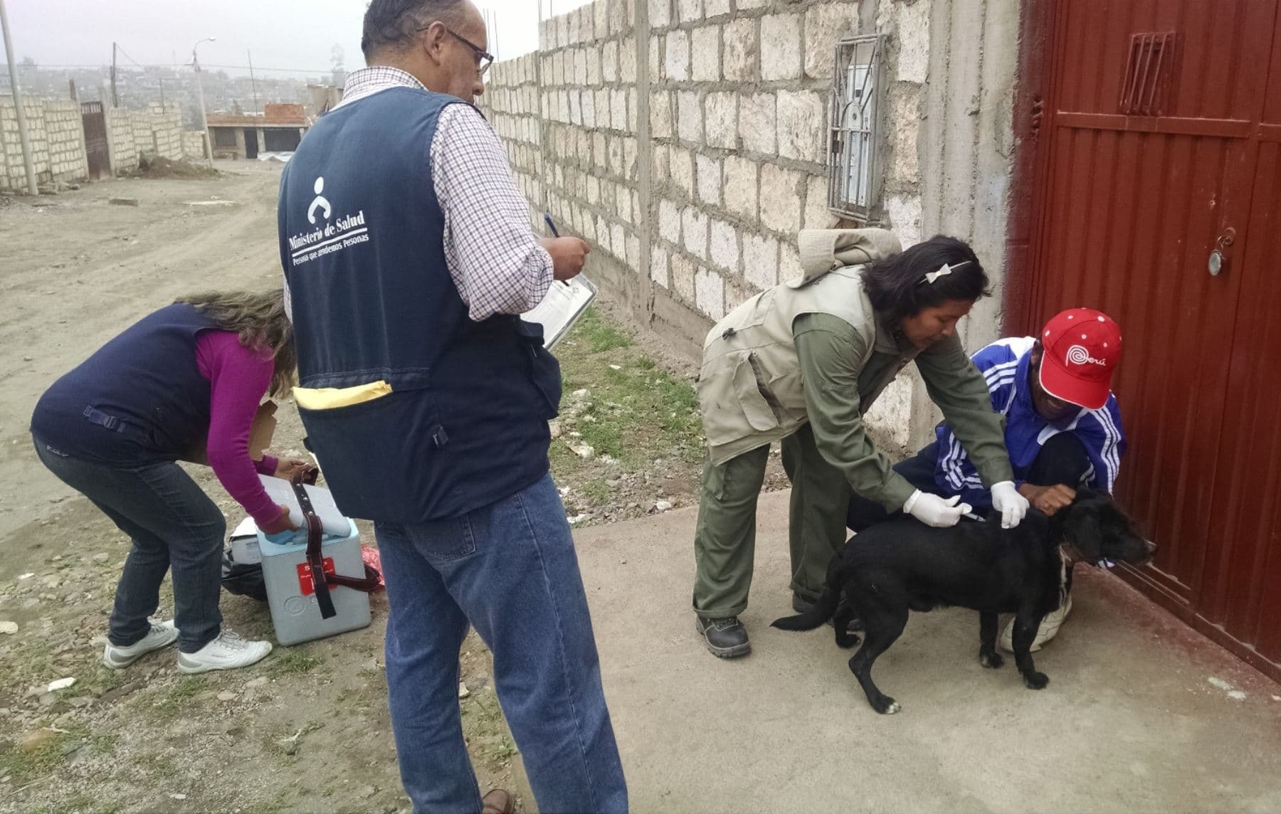 Detectan segundo caso de rabia canina