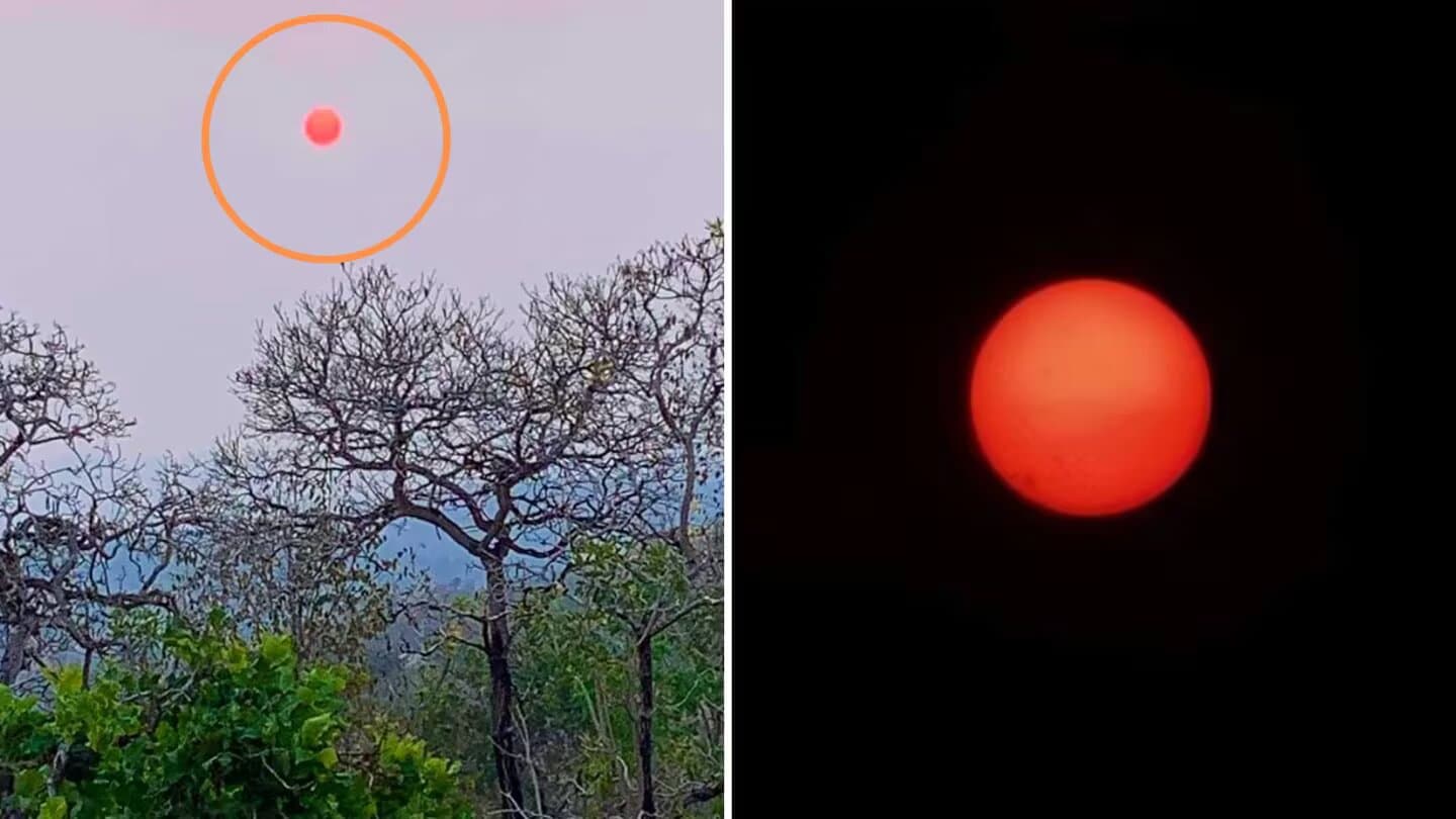 Apareció un Sol de color rojo en la Selva peruana