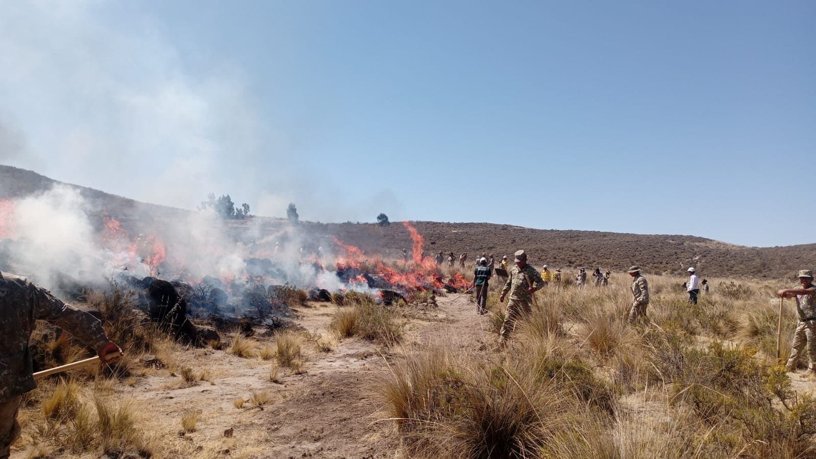 Reportan 47 incendios forestales en Arequipa durante este año