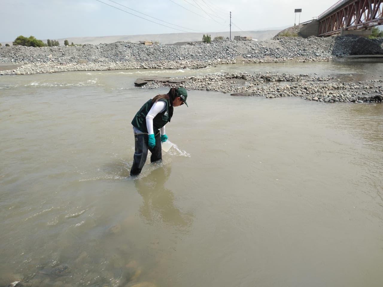 Contaminación del río Tambo merma producción de camarón en Arequipa