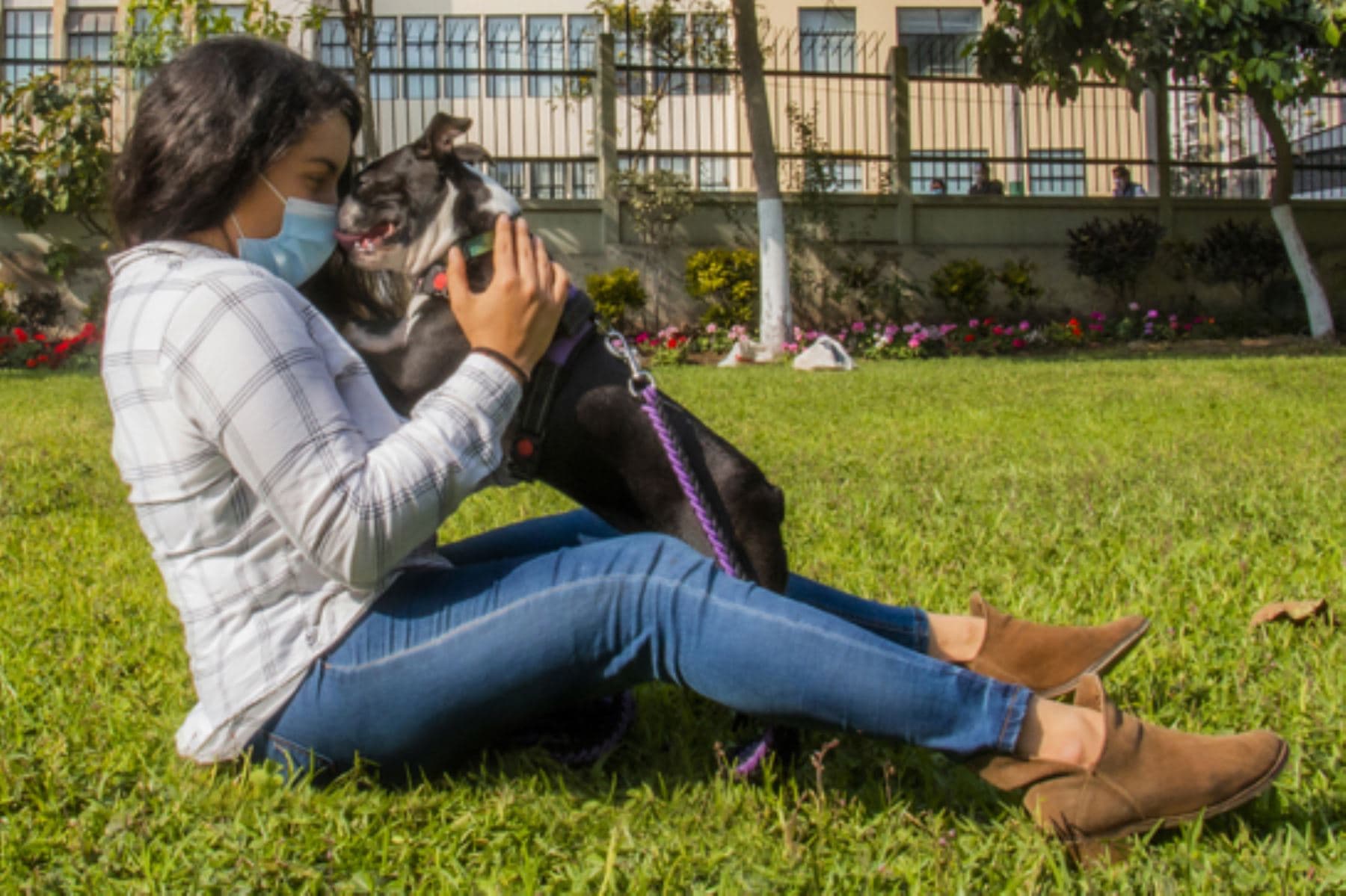 Buscan que mascotas no sean considerados “bienes muebles”