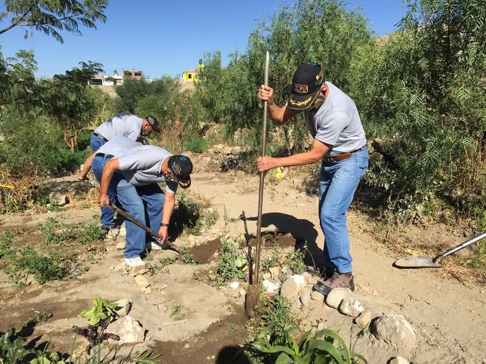 Este año plantaron unos 9 mil árboles en Cayma