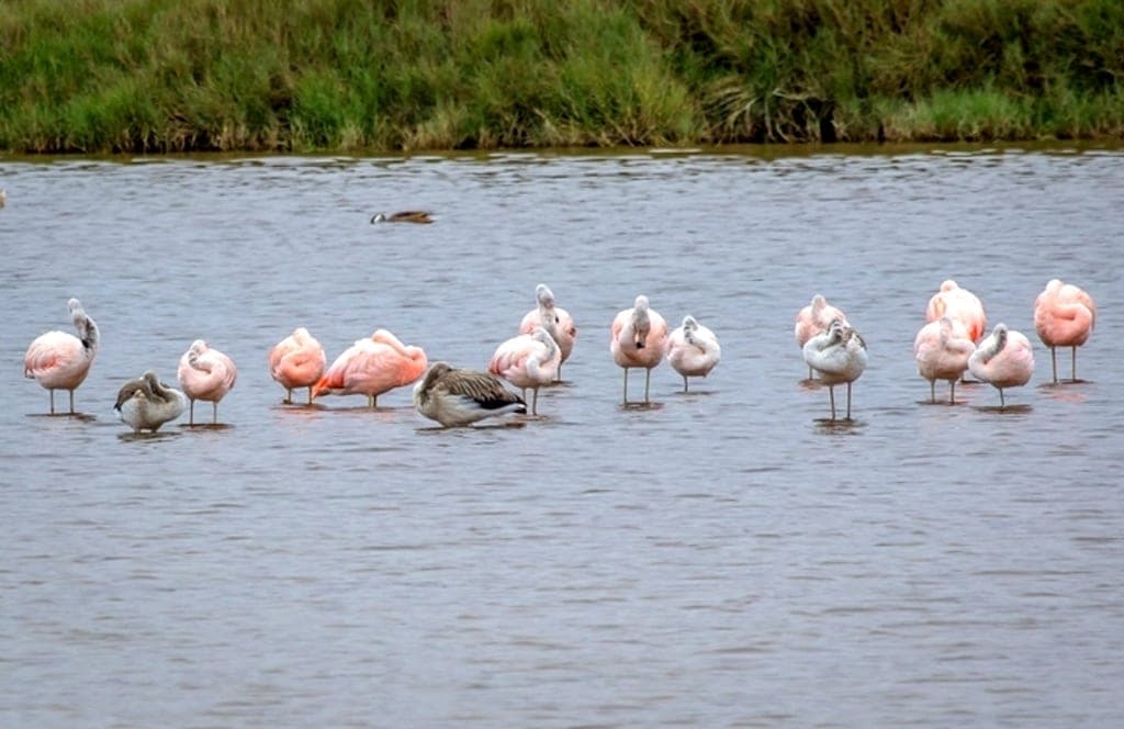 Evalúan mejorar experiencia turística en Lagunas de Mejía
