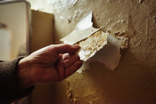 Perú es el único país que usa plomo en la elaboración de pinturas
