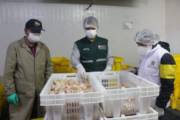 Inspecciones centros de faenamiento de aves en Cerro Colorado
