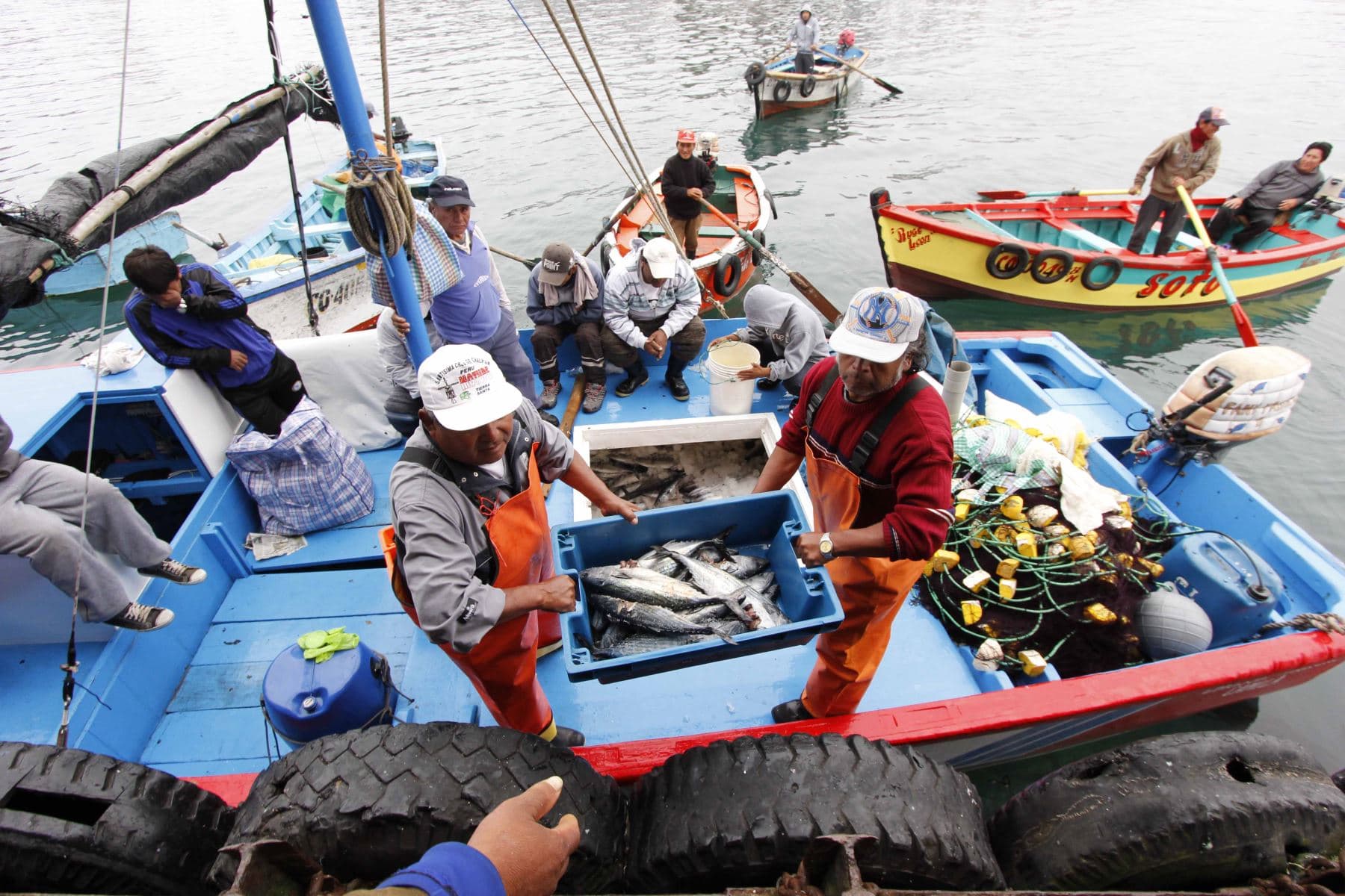 Otorgarán préstamos con 1% de interés para pescadores de Piura