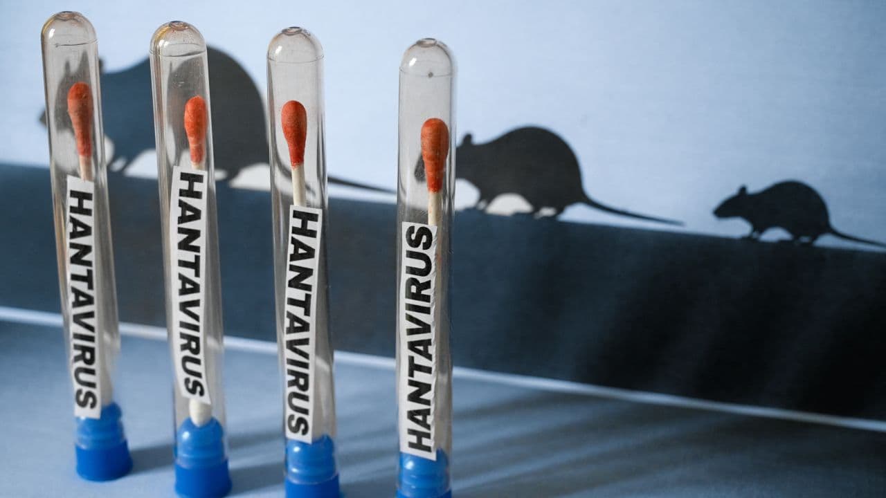 La OMS descarta que brote de hantavirus ocasione pandemia