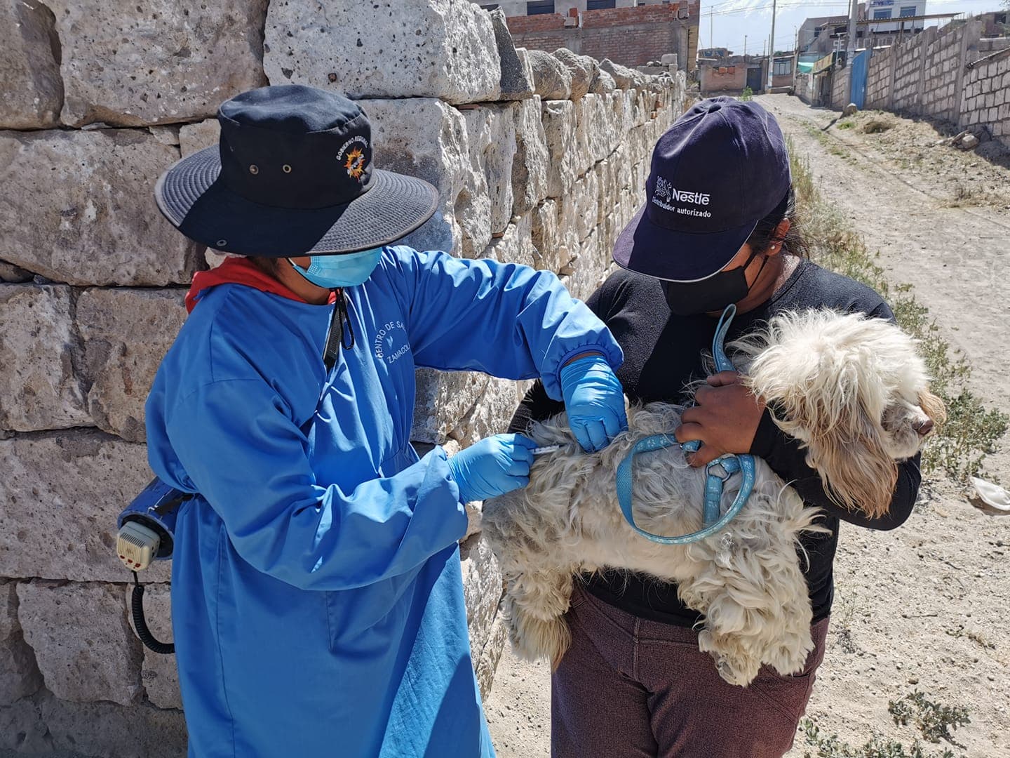Vacunarán a más de 2 mil canes contra la rabia