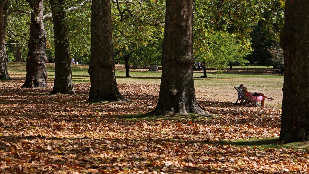 Reino Unido presenta un "otoño falso" por sequía
