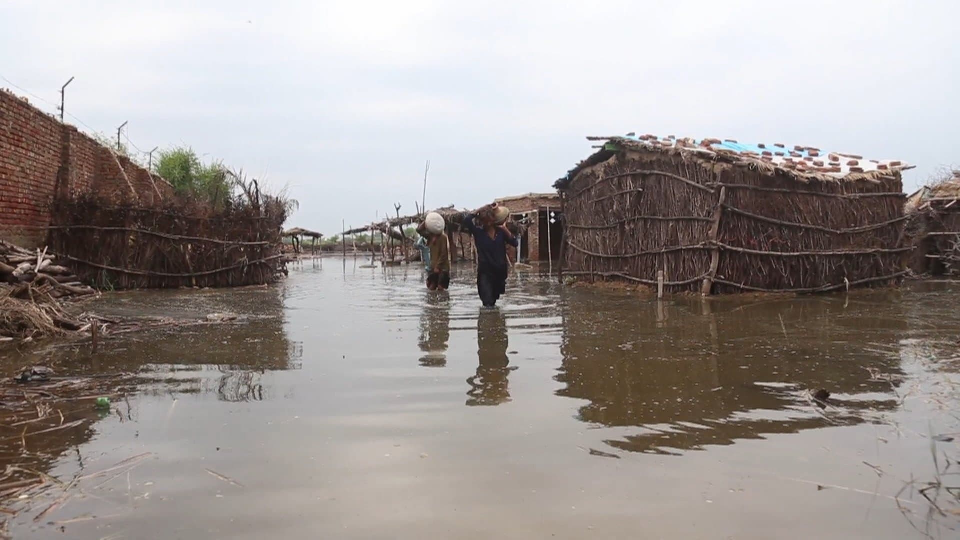 Inundaciones dejan más de 800 muertos