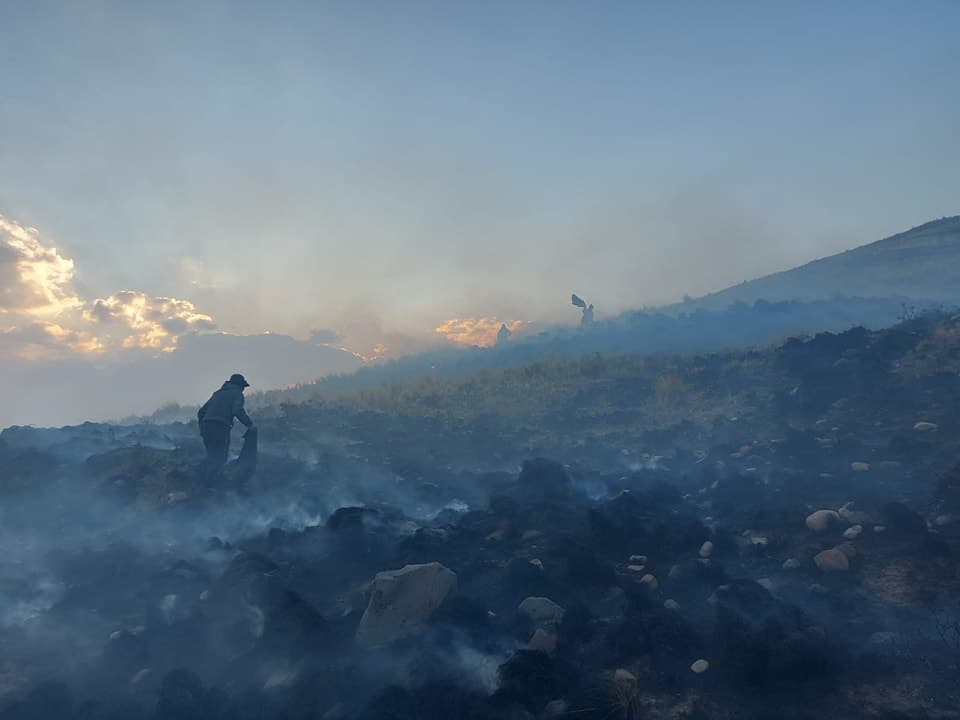 Incendio forestal arrasa terrenos de 2 comunidades en Huacullani