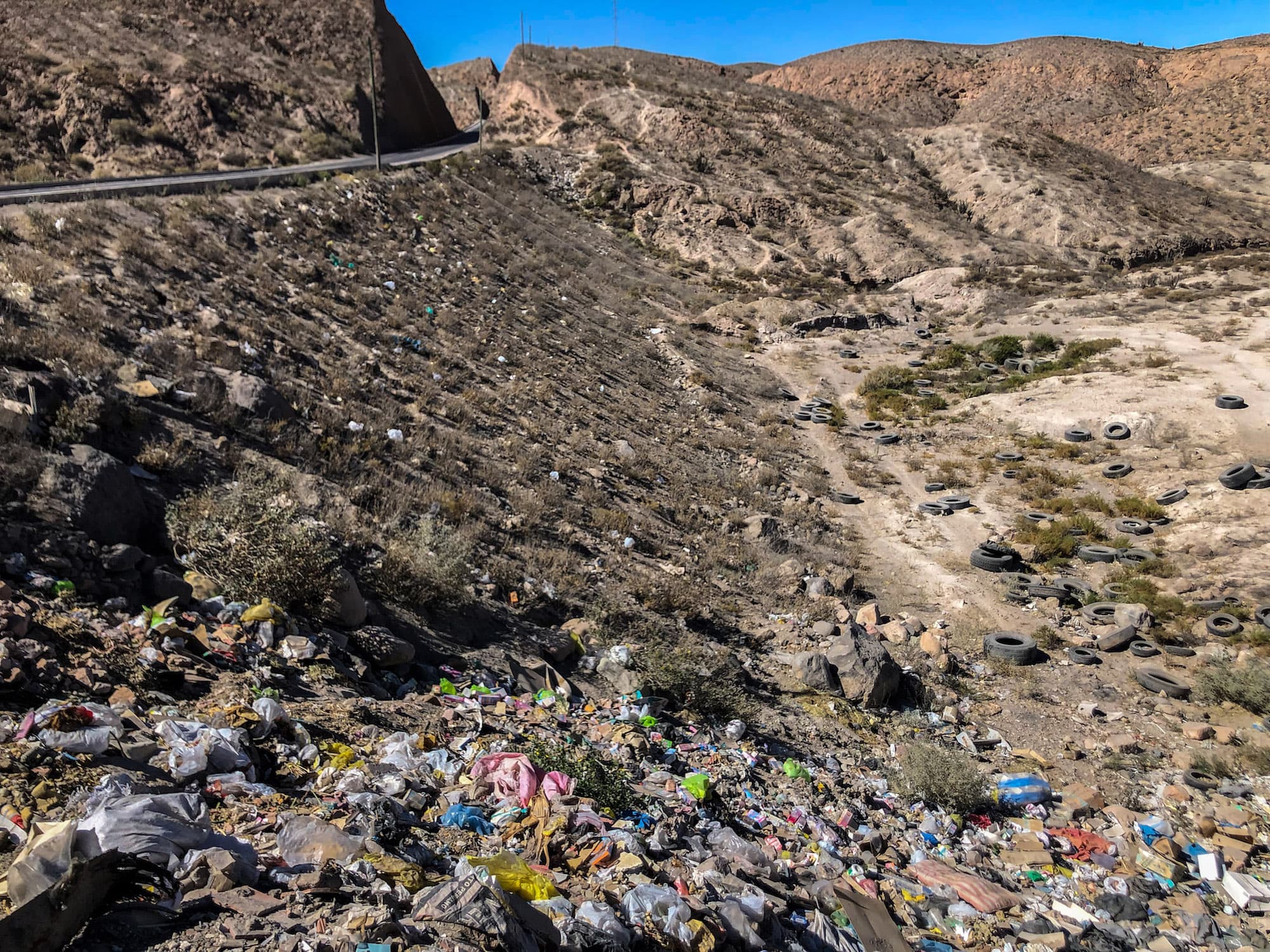 Residuos tirados en carreteras de Arequipa ponen en riesgo a fauna silvestre