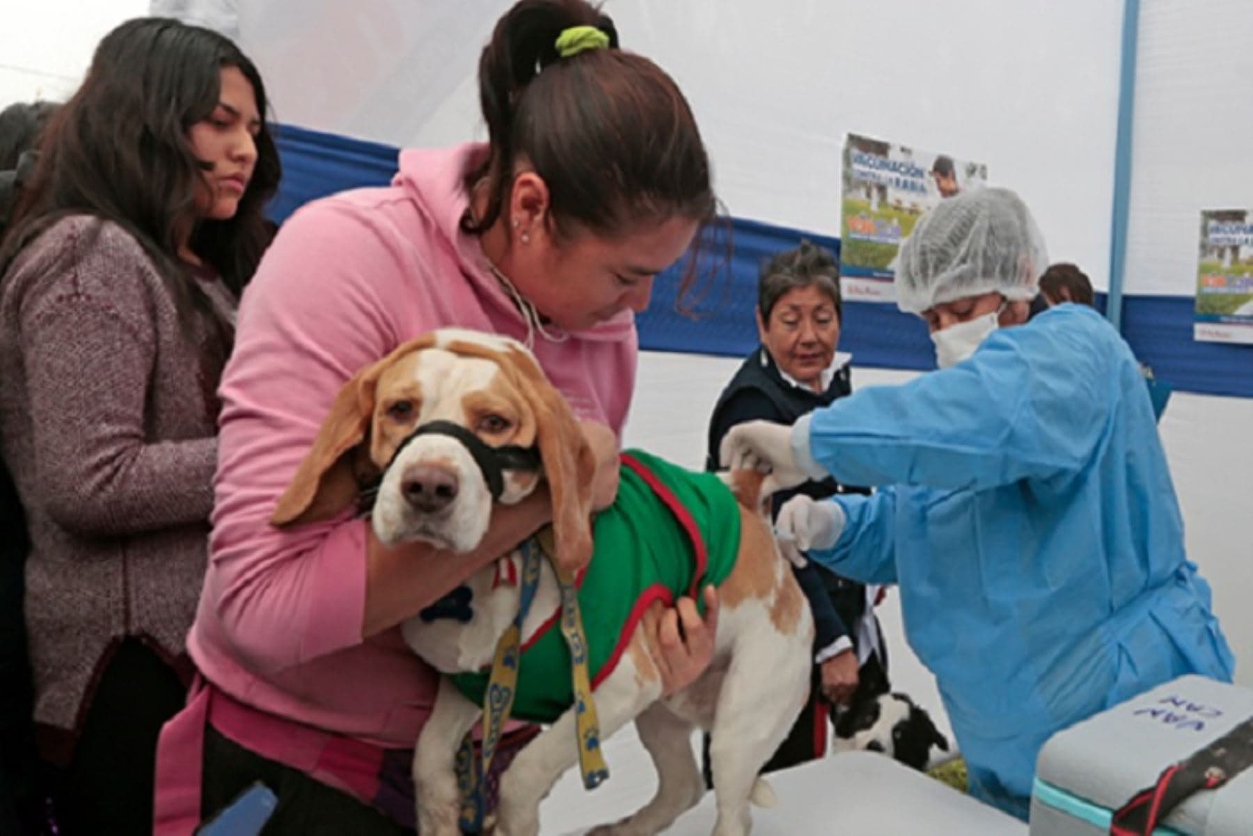 Buscarán vacunar al 80% de canes en Arequipa para prevenir la rabia