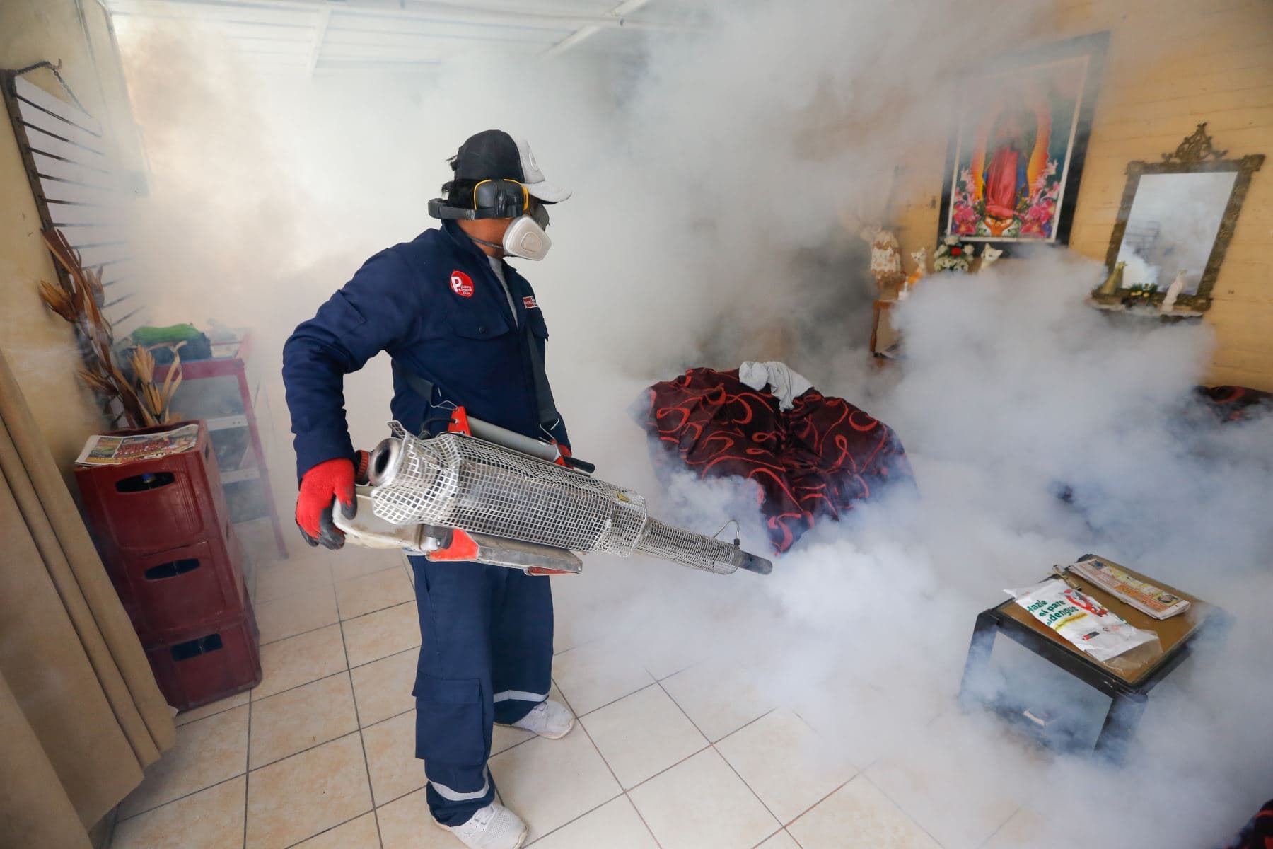 Más de 80,000 viviendas fueron fumigadas