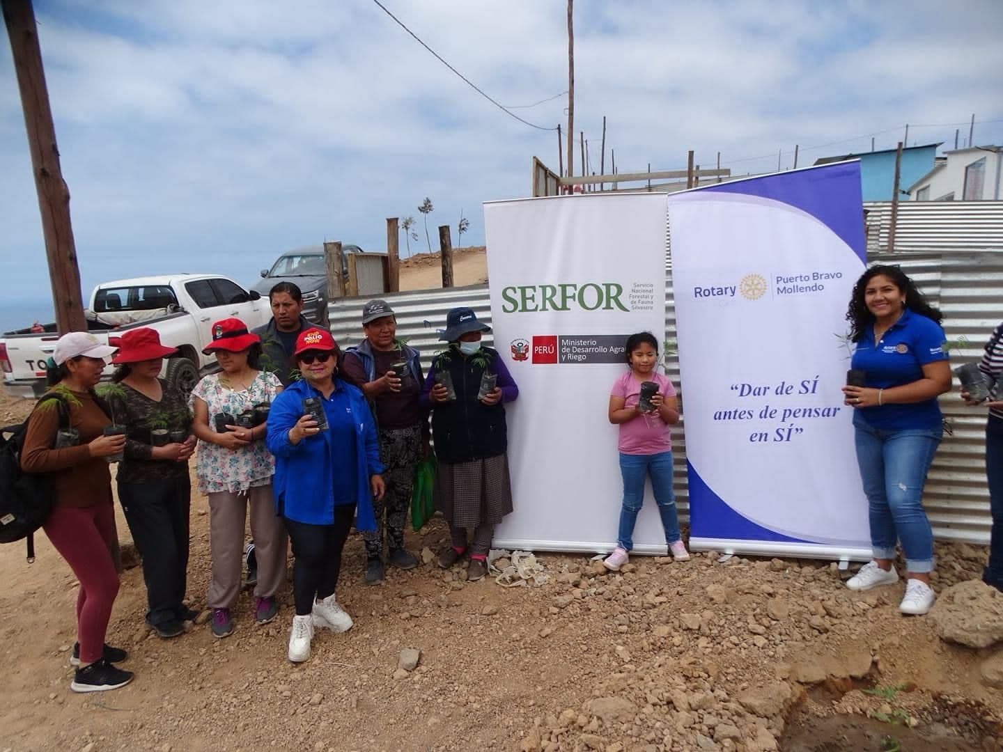 Rotary Club Puerto Bravo arboriza avis costanera
