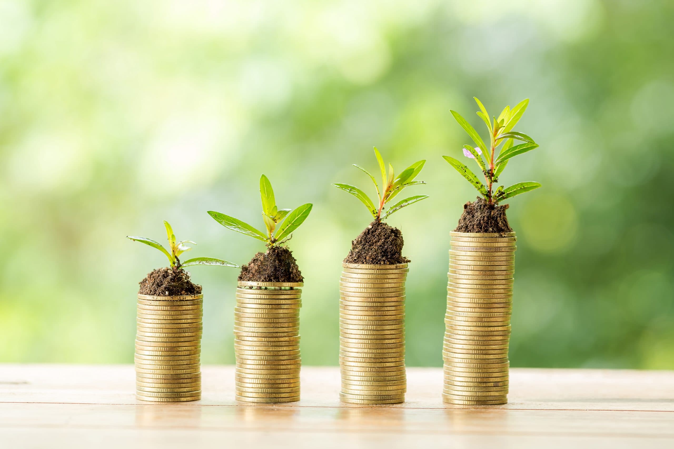 Las inversiones en la naturaleza deben triplicarse para 2030