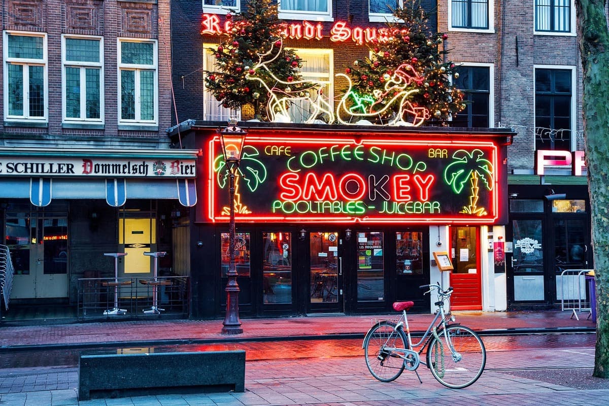 Consumo de cannabis aumenta en Holanda