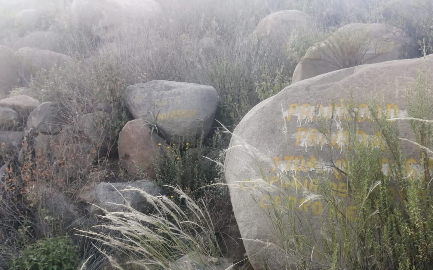 Lamentable: dañan petroglifos con aerosol en Quequeña