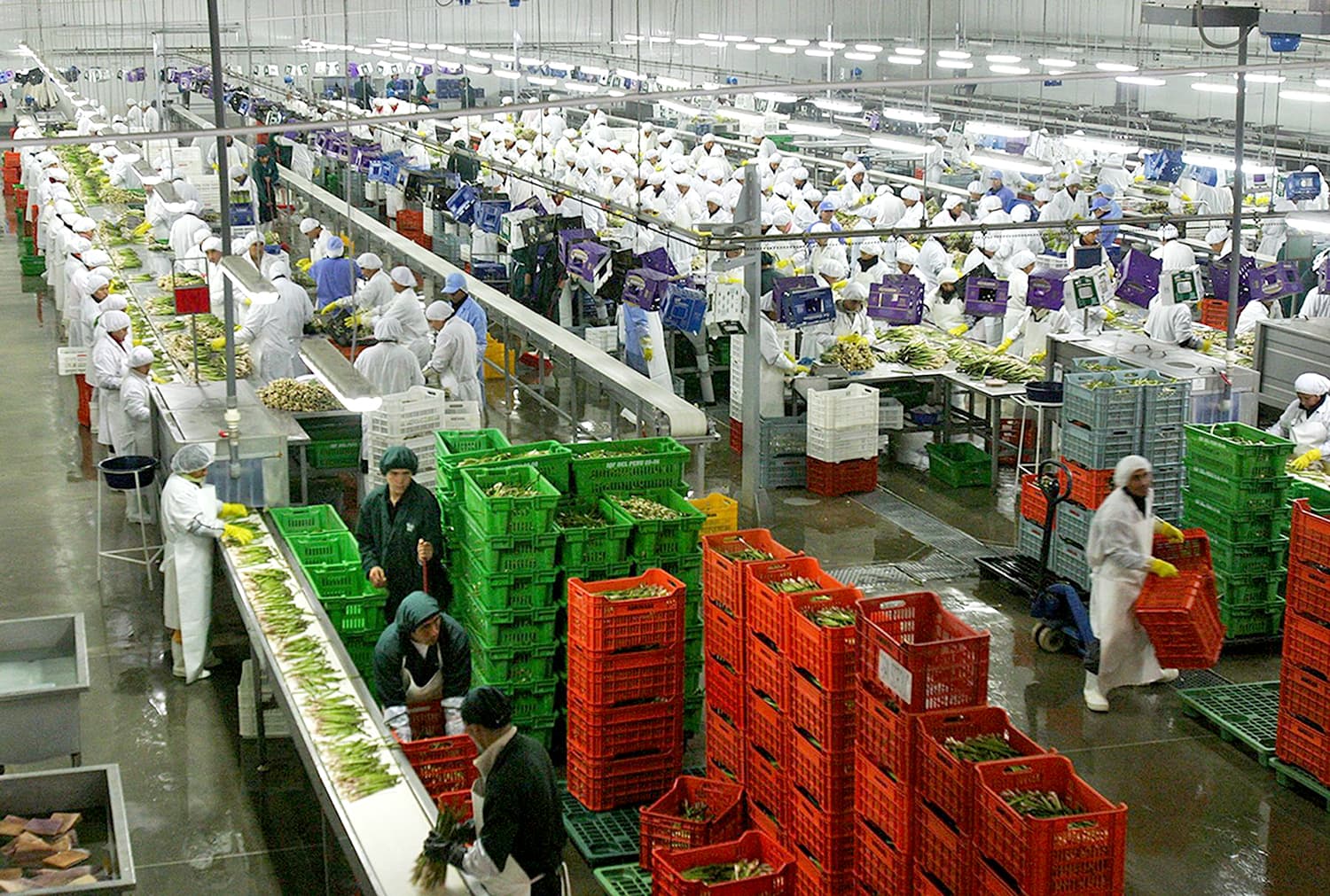 Agroexportaciones crecieron casi 20 % en primer bimestre del año