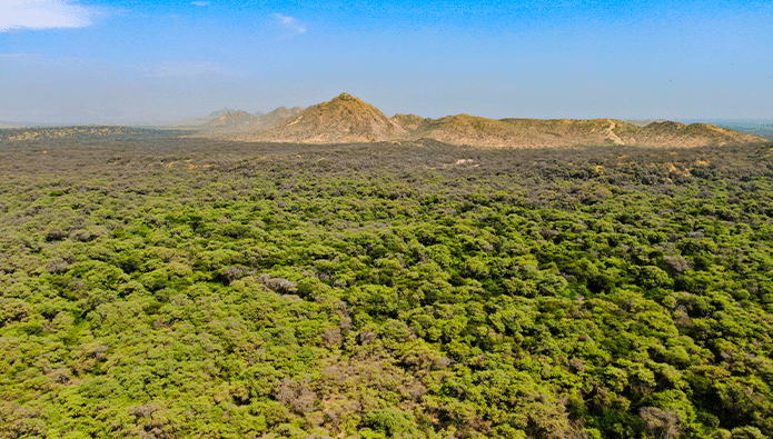 Perú alcanza 40 % de avance en medidas contra cambio climático