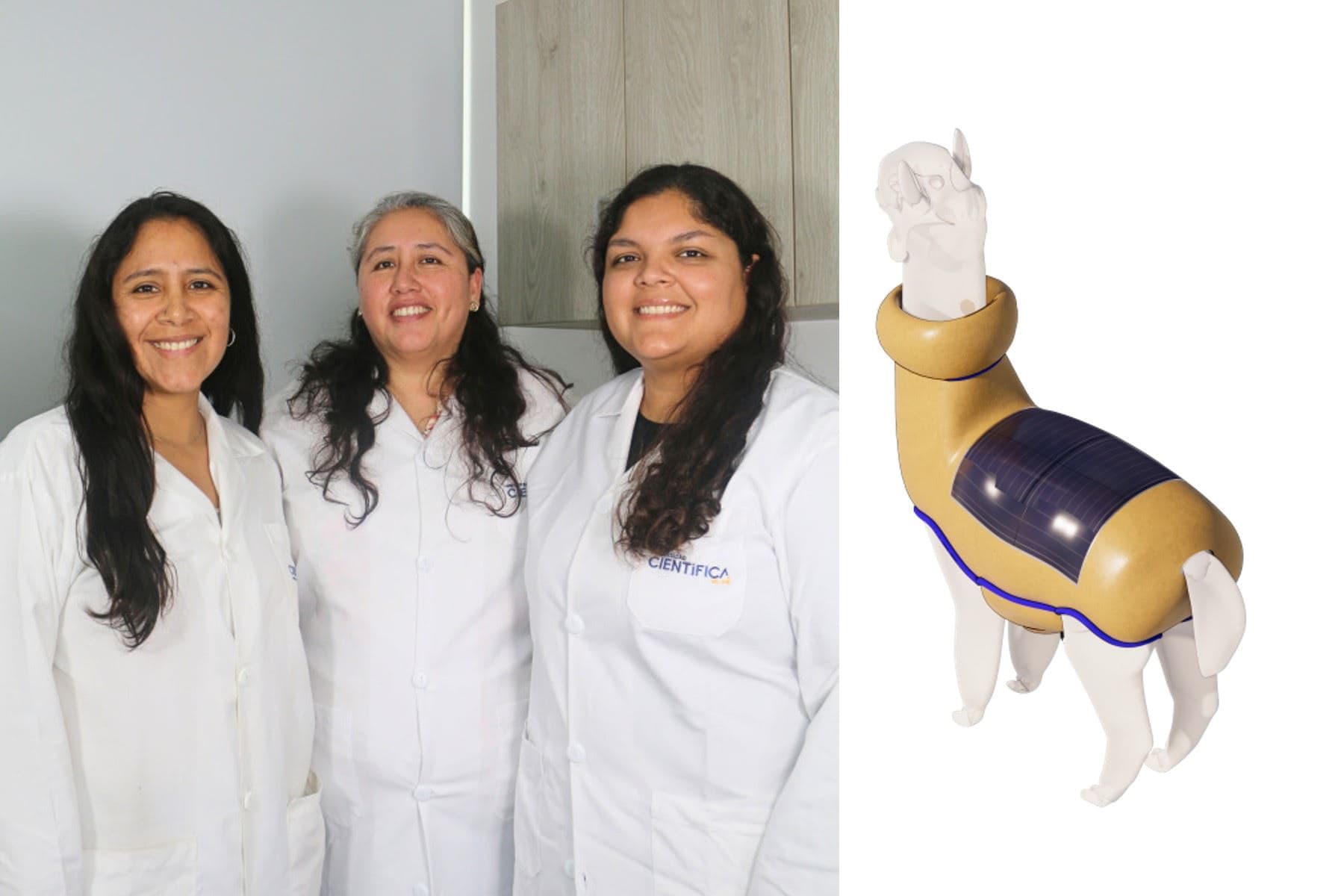 Peruanas ganan premio por crear chaleco inteligente para alpacas
