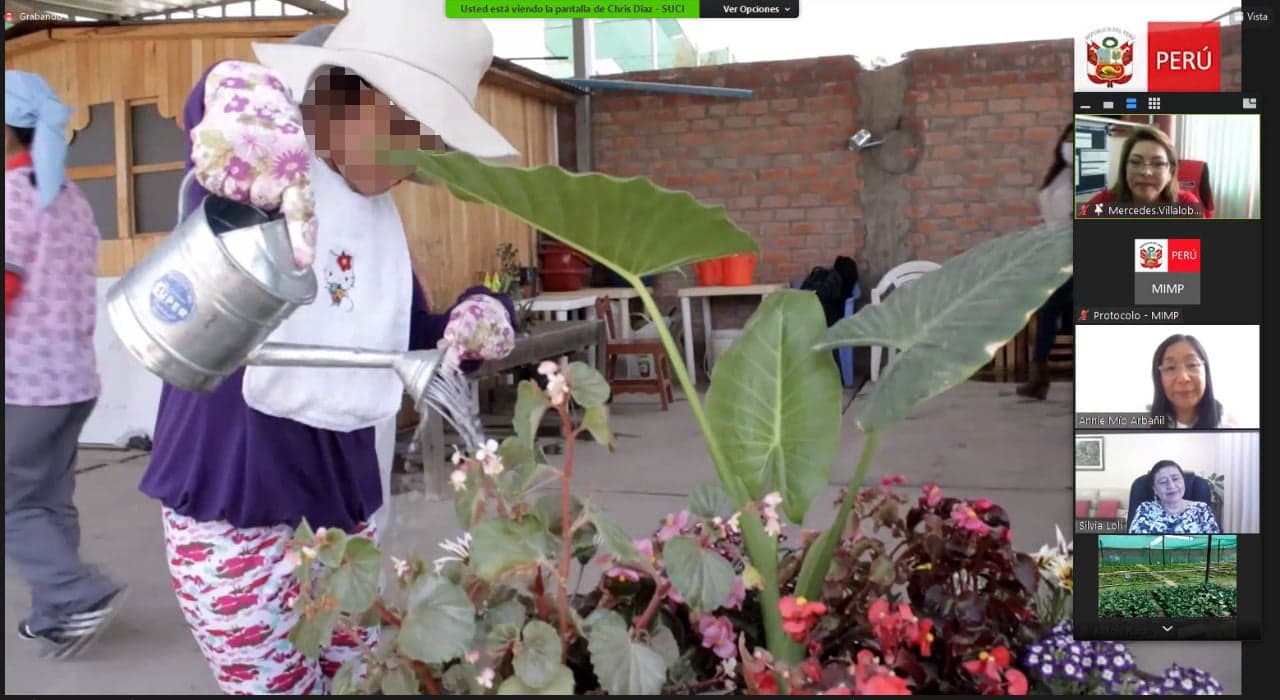 Niños con discapacidad cultivan alimentos orgánicos