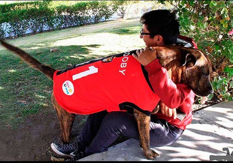 “Scooby” necesita de nuestra ayuda