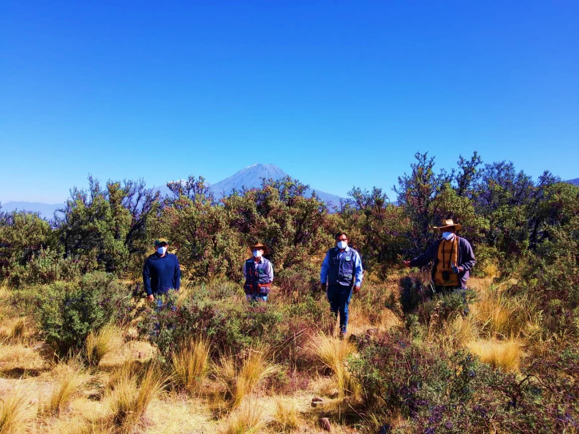 Elaboran proyectos ambientales para preservar flora y fauna