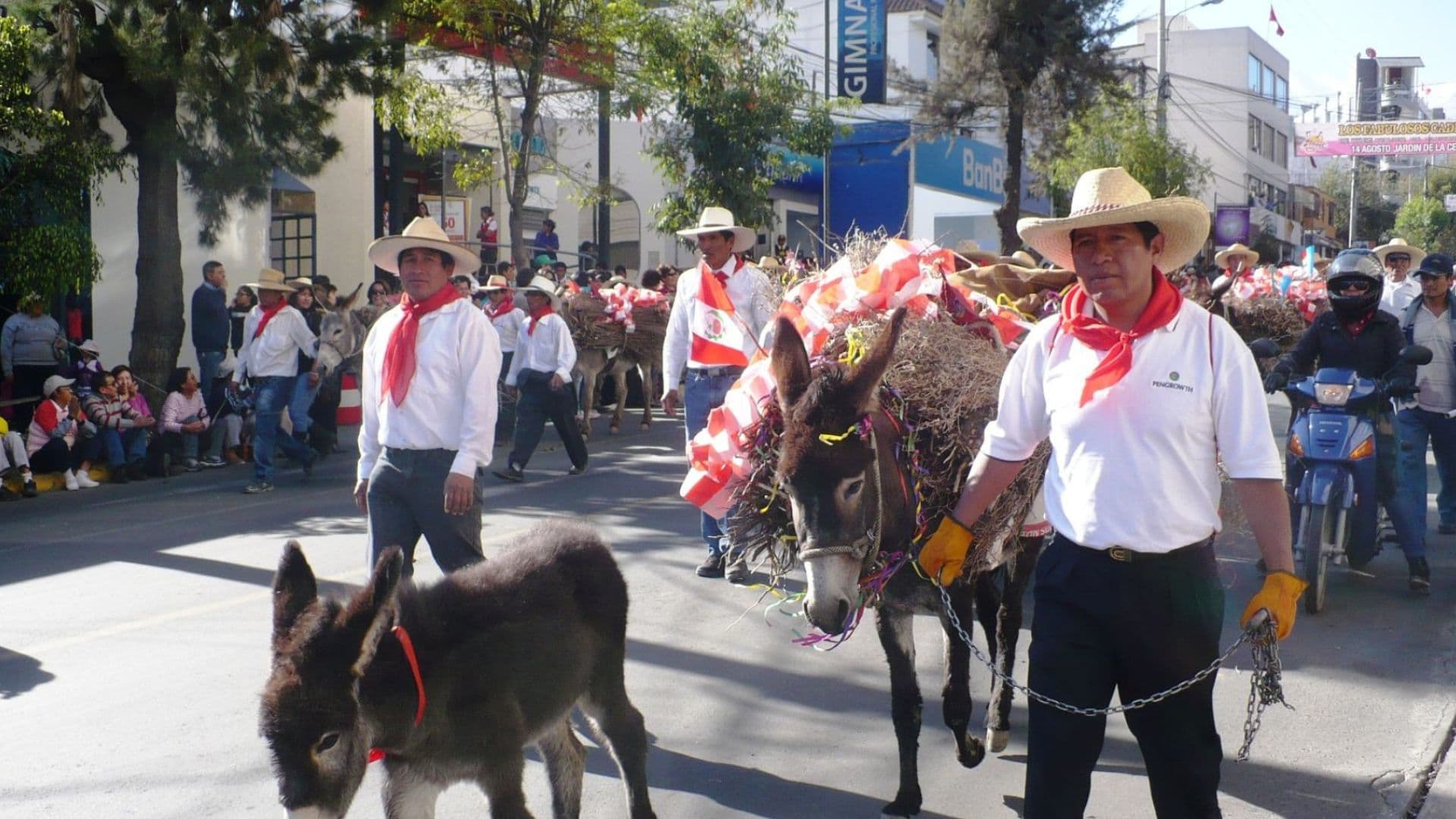 Anuncian Entrada de Ccapo por diez distritos tradicionales el 14