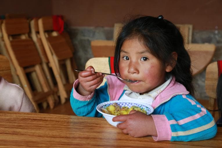 Anemia infantil en Puno crece de manera preocupante