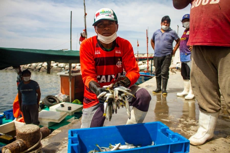 Favorecerán a pescadores de Caravelí