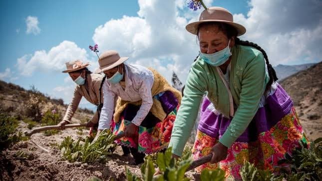 Gerencia Regional de Agricultura capacita a agricultores en vísperas del “Día del campesino“