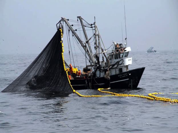 Afirman que pesca industrial no amenaza a la Dorsal de Nasca