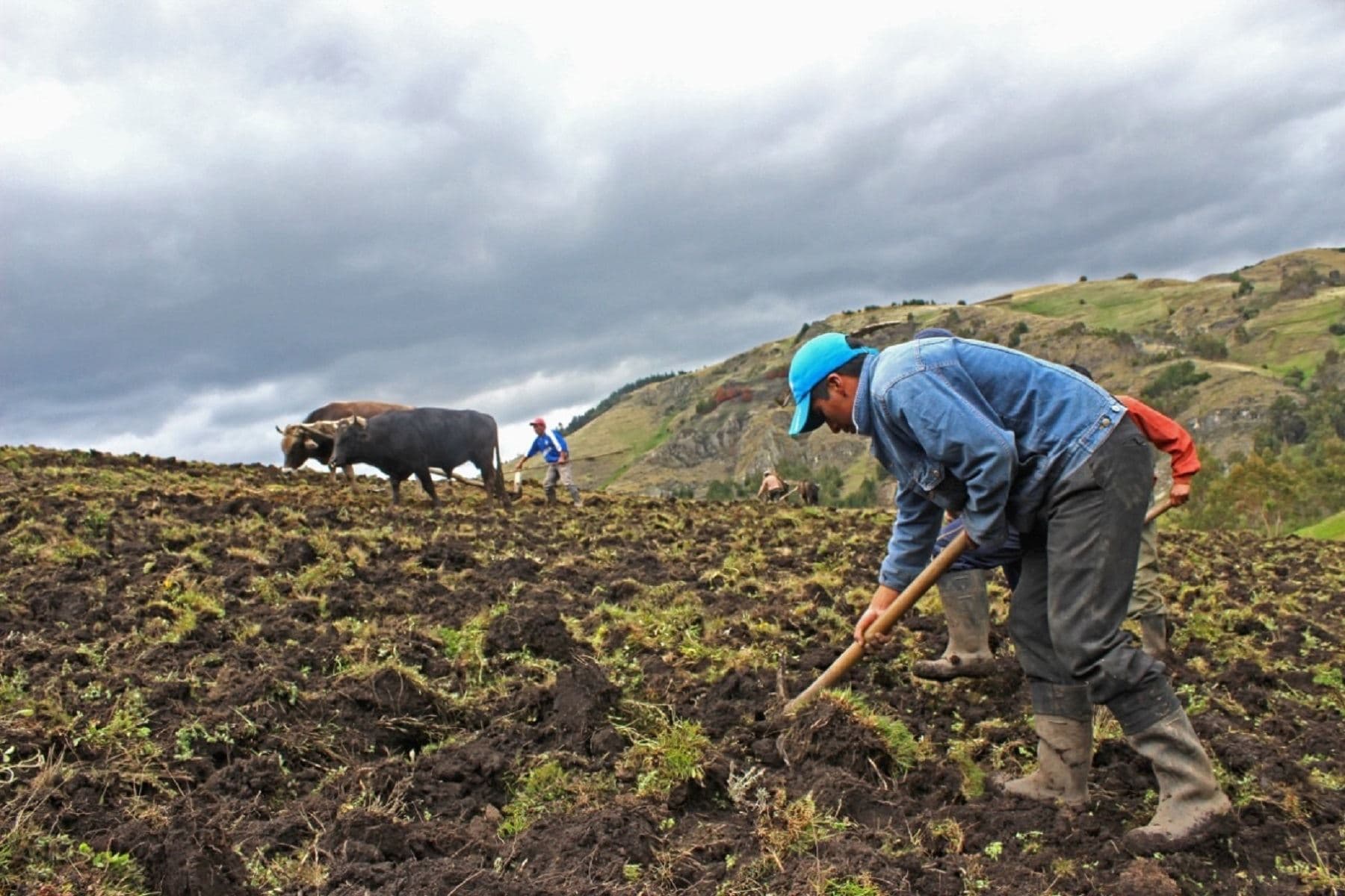 Fertilizantes para el agro desde quincena de agosto