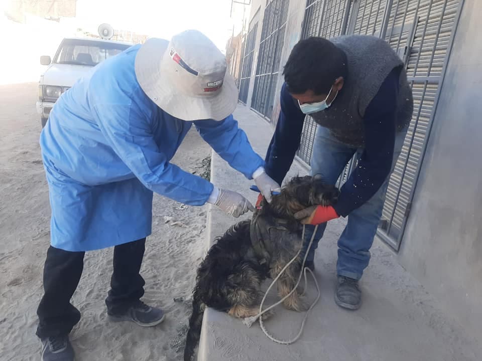 Realizarán jornada antirrábica en Cerro Colorado