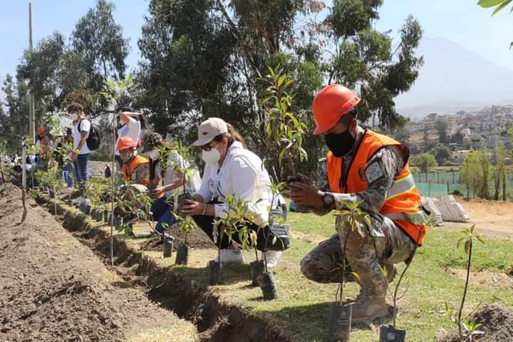 Siembran árboles en Magnopata para recordar a víctimas de la pandemia