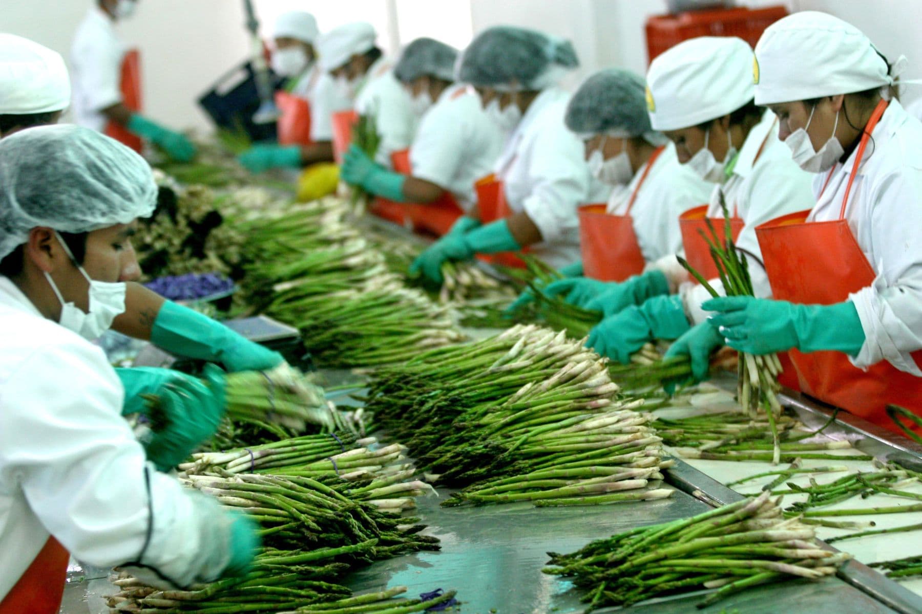 Ley Agraria debe promocionar agroexportación e investigación
