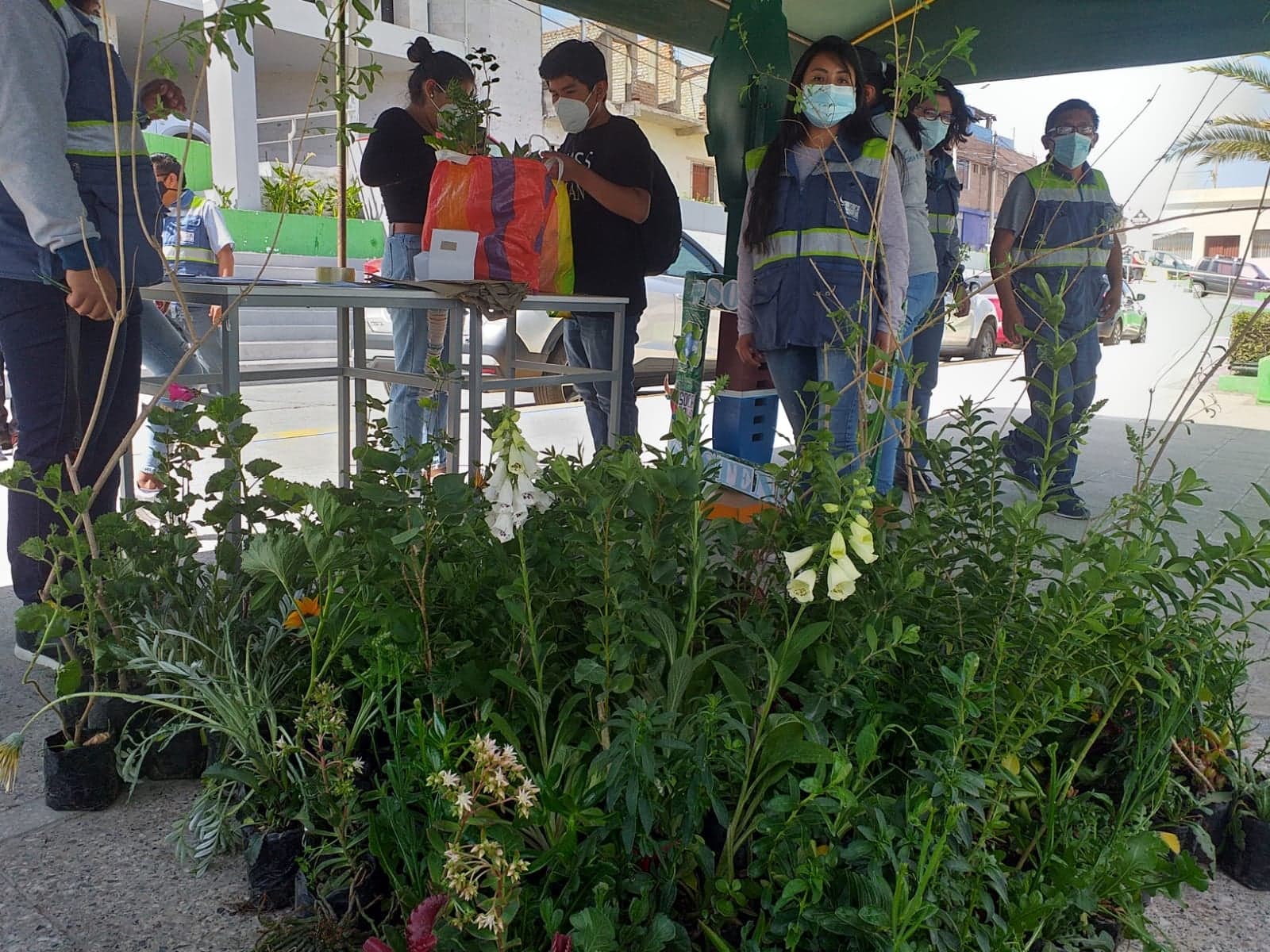 Intercambian material reciclable por plantas en Socabaya