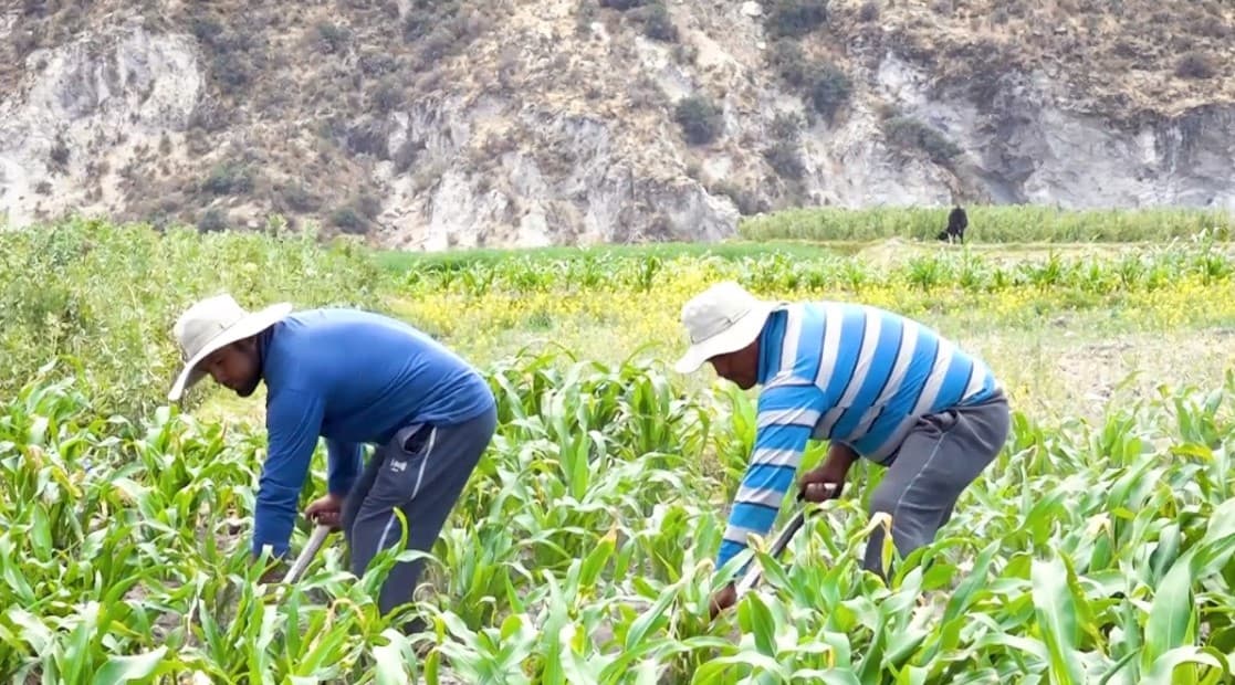 Minirepresa beneficiará a agricultores de Polobaya