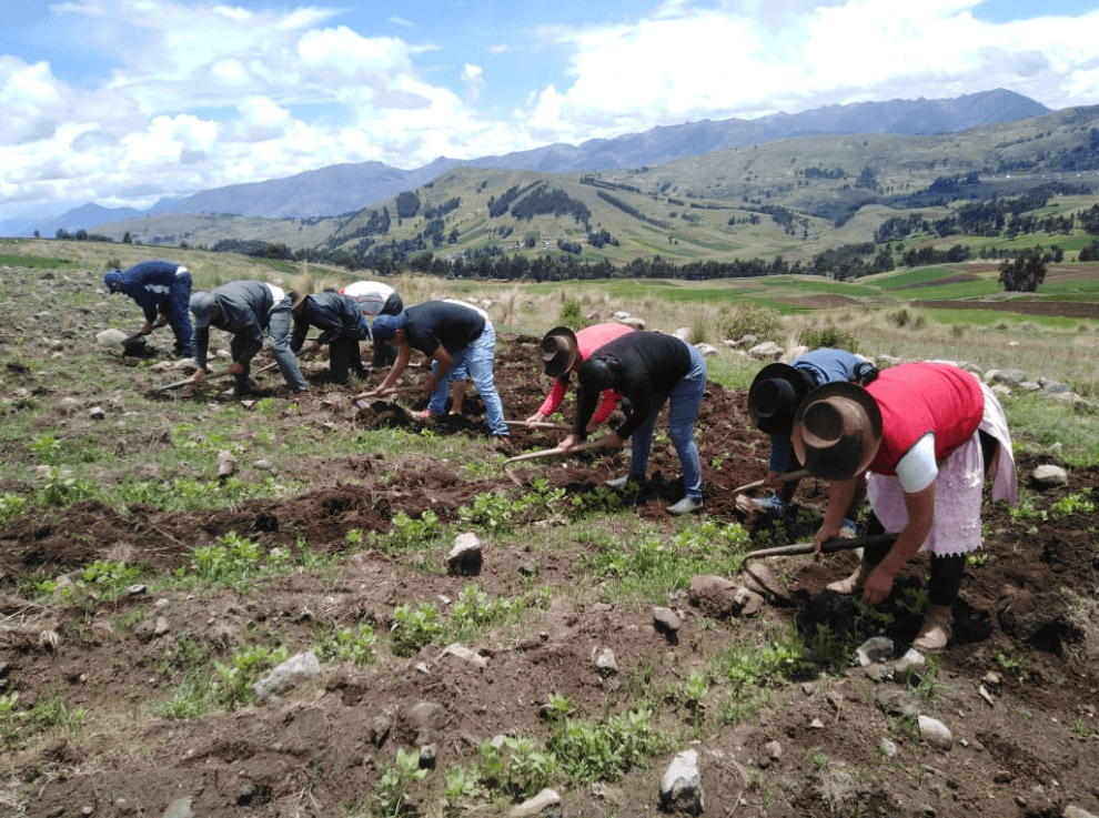 Las lluvias de febrero deberán garantizar la campaña del 2026